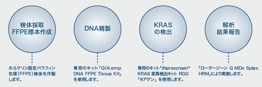 図1：検体採取FFPE標本作成：ホルマリン固定パラフィン包埋（FFPE）検体を作製します。→DNA精製：専用のキット「QIA amp DNA FFPE Tissue Kit」を使用します。→KRASの検出：therascreen KRAS 変異検出キット RGQ 「キアゲン」を使用します。→解析結果報告：「ロータージーン Q MDx 5plex HRM」により実施します。